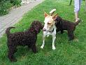 2009-06-08_Lenox2[1]